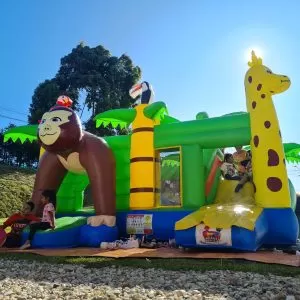 Inflable Jungla