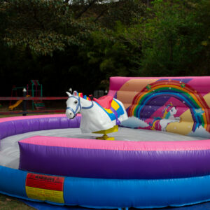 Pony Mecánico en Medellín